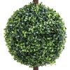Product Thumbnail Image 3 of 5