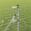 Product Thumbnail Image 3 of 6