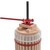 vidaXL Fruit and Wine Press with Cloth Bag 30 L Oak Wood
