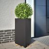 Product Thumbnail Image 2 of 12