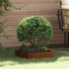 Product Thumbnail Image 2 of 13