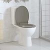 vidaXL Soft-Close Toilet Seat Quick Release Grey Oval