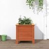 vidaXL Garden Planter Wax Brown 40 x 40 x 39 cm Solid Pine Wood