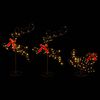 Product Thumbnail Image 4 of 10