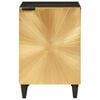 vidaXL Bathroom Cabinet with Shelf Black and Gold 38 x 33 x 58 cm