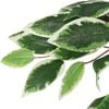 Product Thumbnail Image 3 of 5