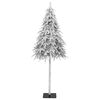 Product Thumbnail Image 2 of 8