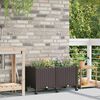 Product Thumbnail Image 2 of 8