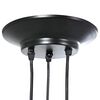 vidaXL Pendant Lamp with 3 Lamp Holders E27 Black Metal
