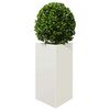 Product Thumbnail Image 10 of 13