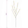 Product Thumbnail Image 7 of 7