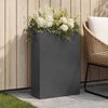 Product Thumbnail Image 2 of 7