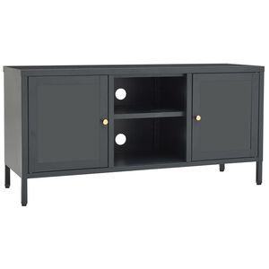 vidaXL Tv Cabinet | Anthracite | Anthracite powder-coated steel, tempered glass