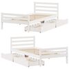 vidaXL Bed Frame without Mattress White 100x200 cm Solid Wood Pine