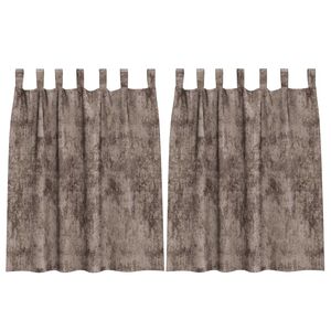 vidaXL Velvet Curtains 2 pcs Cappuccino 140 x 140 cm Velvet