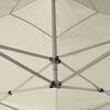 vidaXL Professional Folding Party Tent with Walls Aluminium 3x3 m Cream