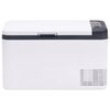 vidaXL Cool Box with Handle Black and White 18 L PP & PE