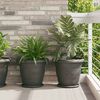 Product Thumbnail Image 2 of 12