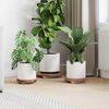 Product Thumbnail Image 2 of 13