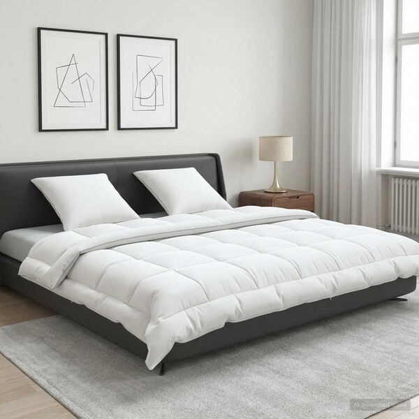 Showing Product Image 2 of 12