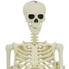 vidaXL Halloween Decoration Skeleton 2 pcs White Polypropylene