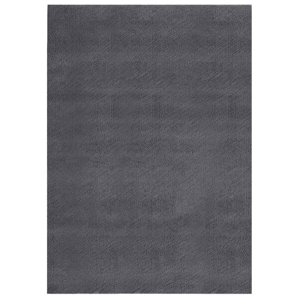 vidaXL Washable Rug Soft Shaggy 160x230 cm Anti Slip Anthracite