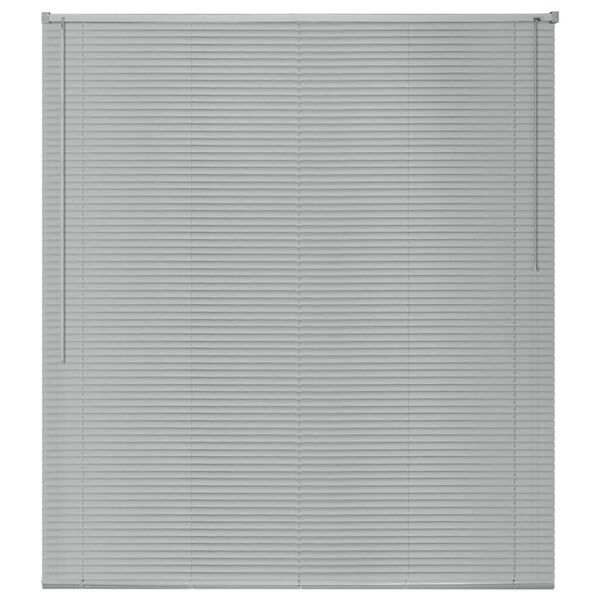 vidaXL Window Blinds Aluminium 100x160 cm Silver