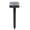 Product Thumbnail Image 3 of 3