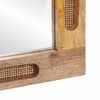 vidaXL Bathroom Mirror Brown 50 x 70 x 3 cm Solid Mango Wood