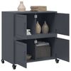vidaXL Sideboard Anthracite 68x39x72 cm Steel