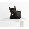 Kerbl Cat Tree Venus 109 cm White