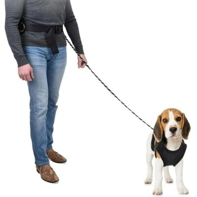 Pets Collection Dog Leash with Hip Band Large Black