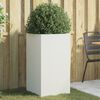 Product Thumbnail Image 2 of 10