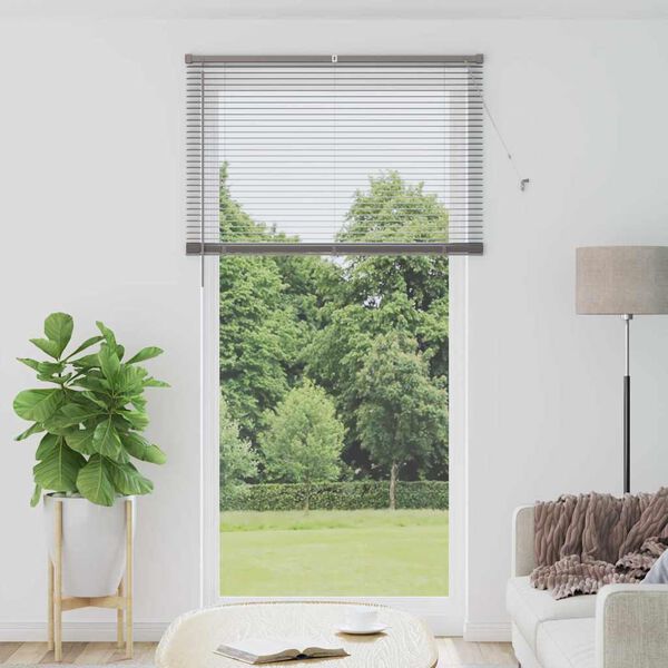 vidaXL Venetian Blinds Height Adjustable Silver 220 x 110 cm Aluminium