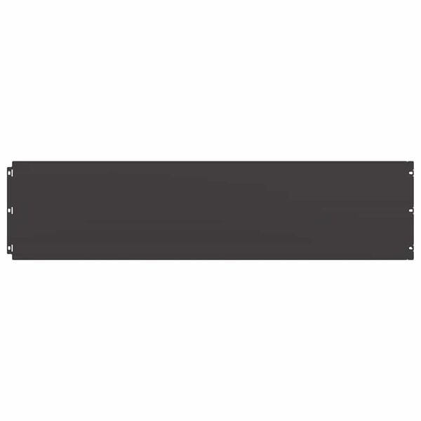 vidaXL Lawn Edgings 20 pcs Black 25x103 cm Cold-rolled Steel