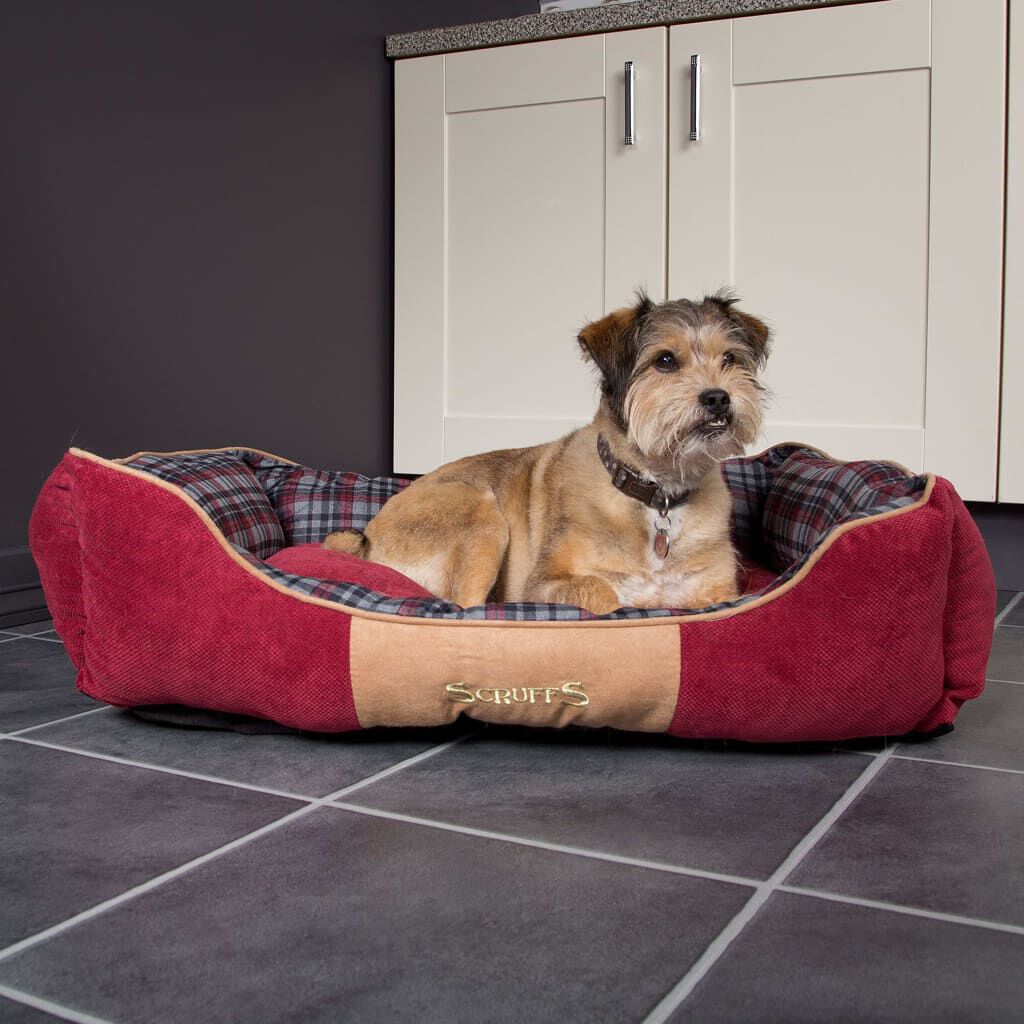Scruffs highland dog sales bed
