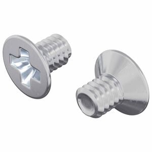 vidaXL Countersunk Head Screws 2 pcs Silver M4 x 6 mm Steel