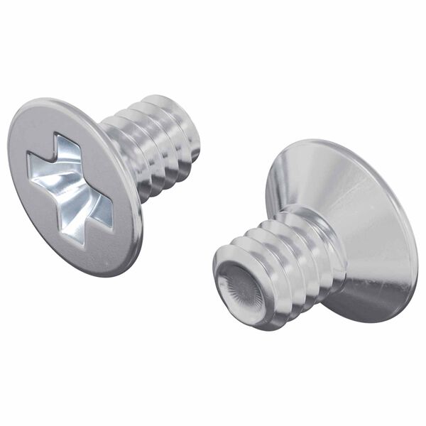 vidaXL Countersunk Head Screws 2 pcs Silver M4 x 6 mm Steel