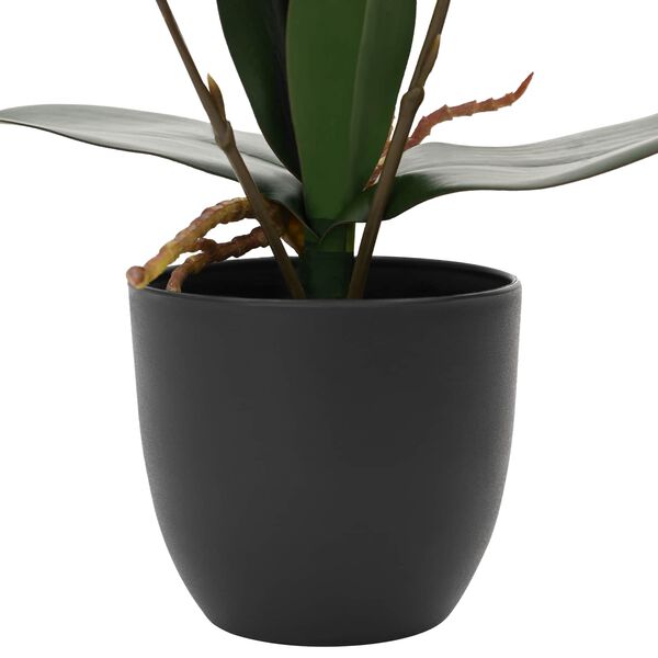 Showing Product Image 3 of 5