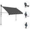 vidaXL Manual Retractable Awning with LED 250 cm Anthracite