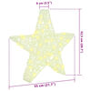 vidaXL 3D Star with 50 LEDs Warm white 55 x 53.5 x 10 cm Acrylic