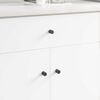 vidaXL Cabinet Knob 1011 pcs Black Iron