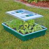HI Mini Greenhouse 38x24.5x18 cm Transparent