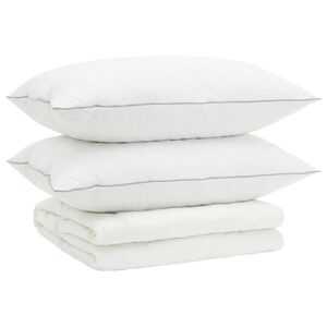 vidaXL 90% Goose Down Duvet Set FULDA 3 pcs 200 x 200 cm Summer White