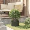Product Thumbnail Image 4 of 10