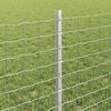 Product Thumbnail Image 4 of 7