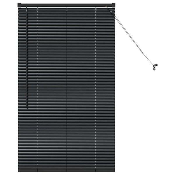 vidaXL Window Blind with Curtains Manual Black Aluminium
