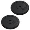 vidaXL Weight Plate 40 kg Cast Iron