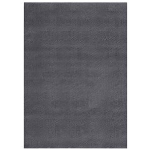 vidaXL Washable Rug Soft Shaggy 160x230 cm Anti Slip Anthracite