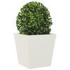 Product Thumbnail Image 4 of 12